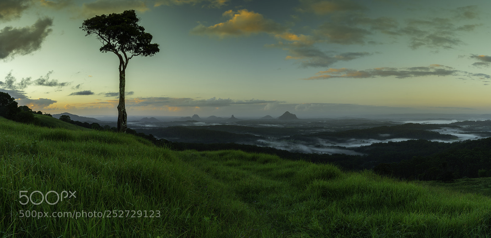 Nikon D500 sample photo. One tree hill photography