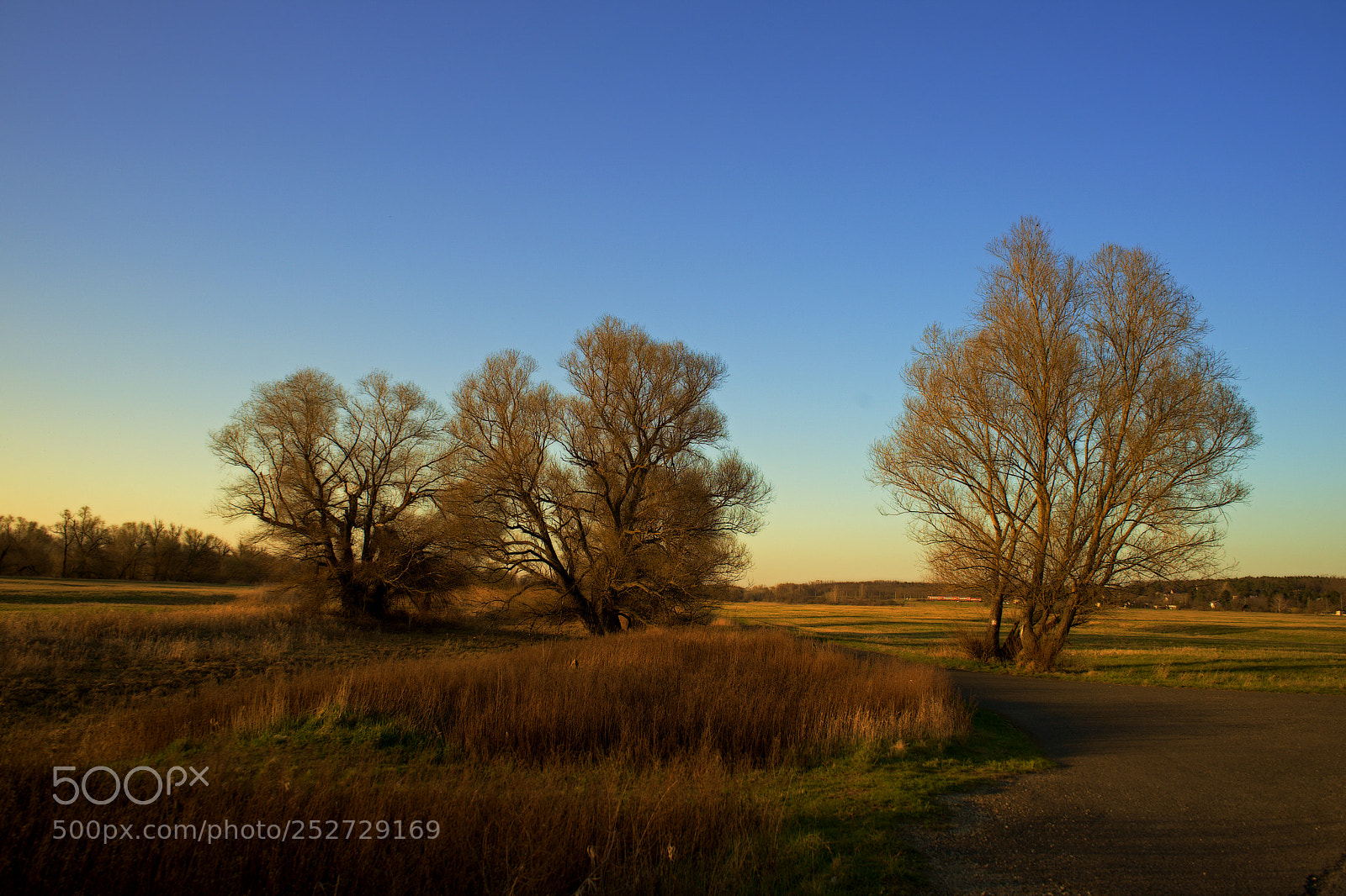Sony a7 sample photo. Evening photography