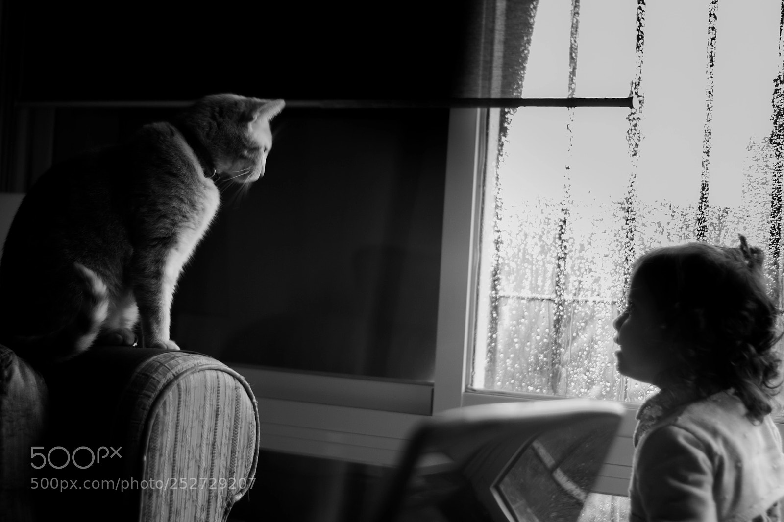 Nikon D3100 sample photo. Friends photography