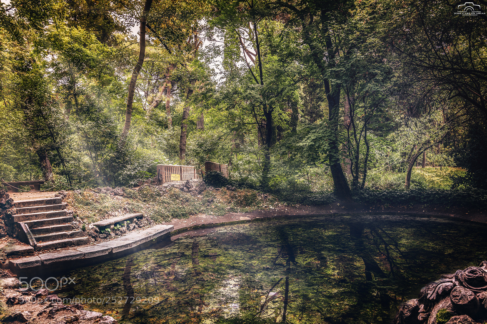 Nikon D7100 sample photo. La jungla noo... parque photography