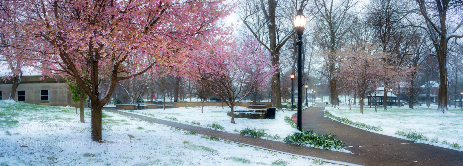 Sony a7R III sample photo. An april snow photography