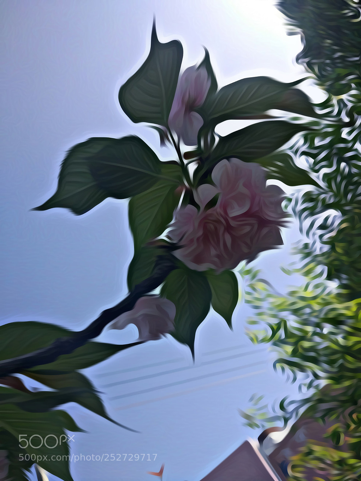Xiaomi MI 5 sample photo. 《春华》 photography