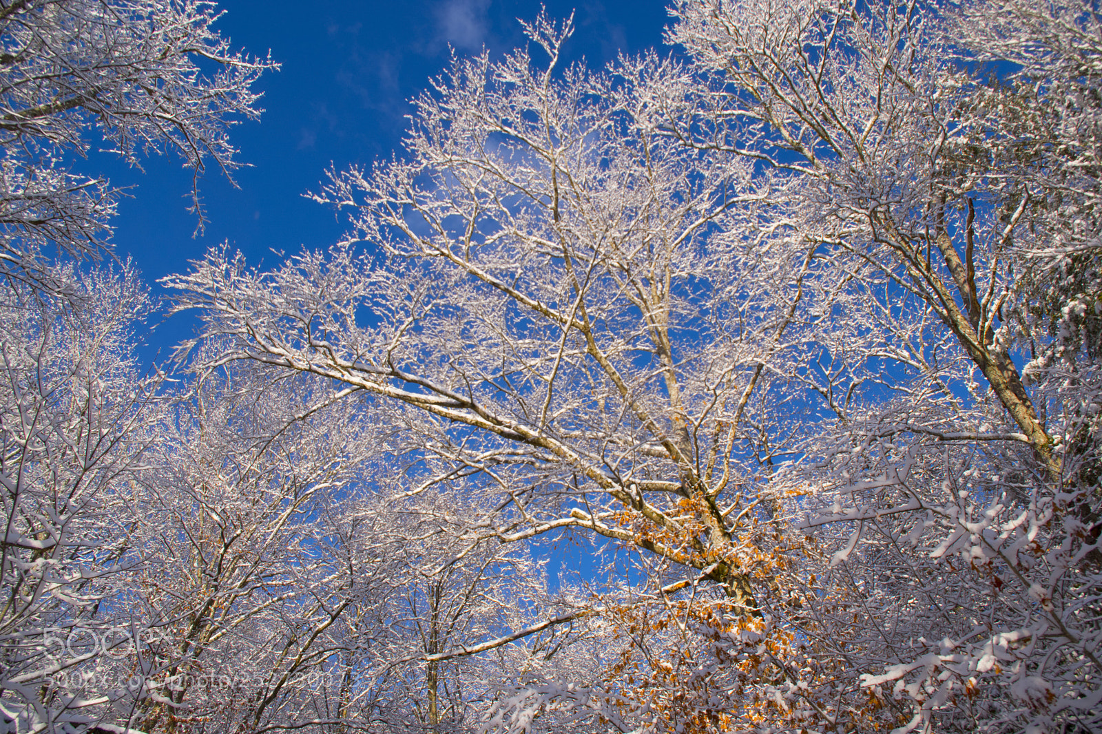 Pentax K-70 sample photo. Blue sky after snowfall photography