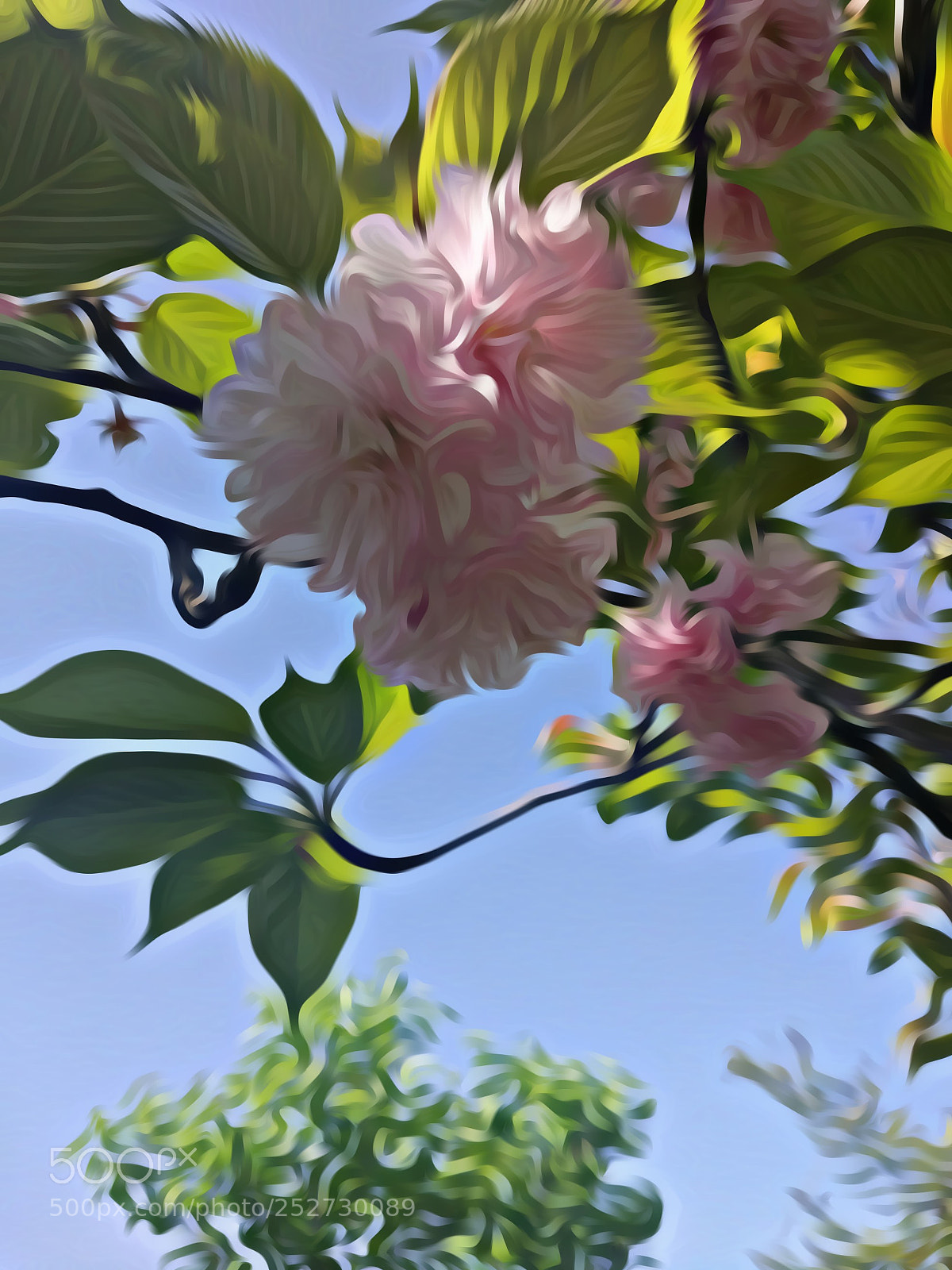 Xiaomi MI 5 sample photo. 《春华》 photography