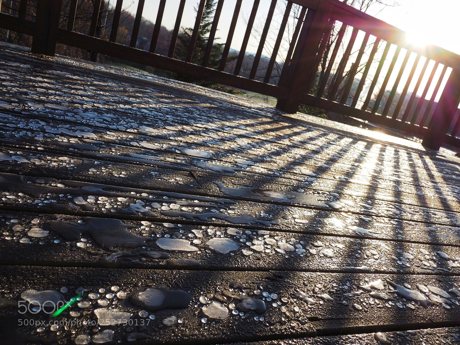 Olympus OM-D E-M10 sample photo. Morning ice and shadows photography