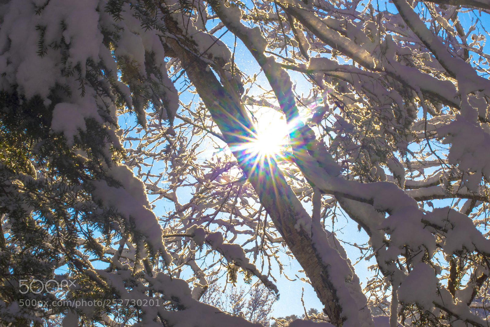 Pentax K-70 sample photo. Prismatic sunlight through snow photography