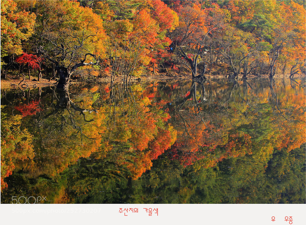Canon EOS 60D sample photo. Autumn color photography
