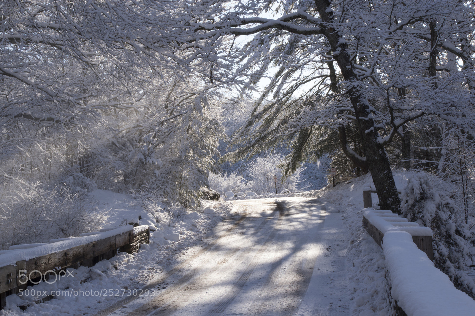 Pentax K-70 sample photo. Sunny snow road photography