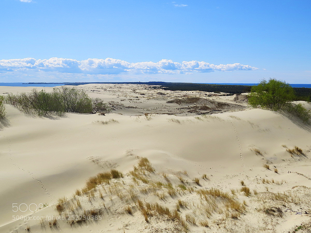 Canon PowerShot SX50 HS sample photo. Sandy dunes on curonian photography