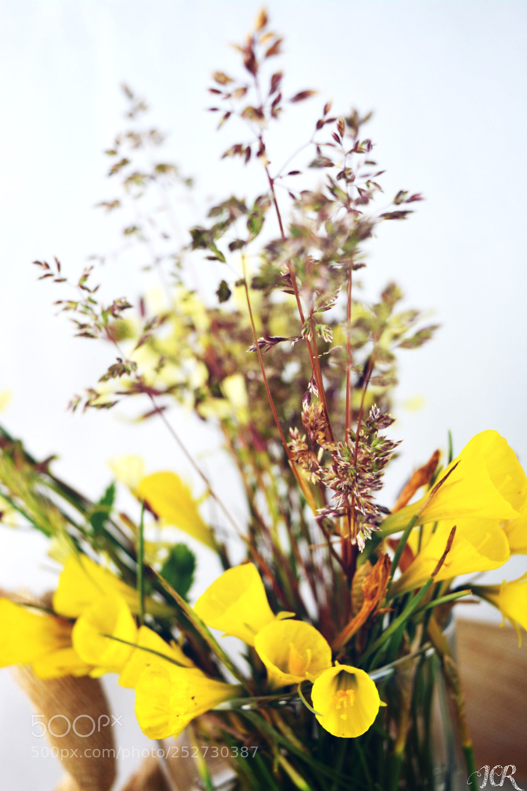 Nikon D5200 sample photo. ... photography