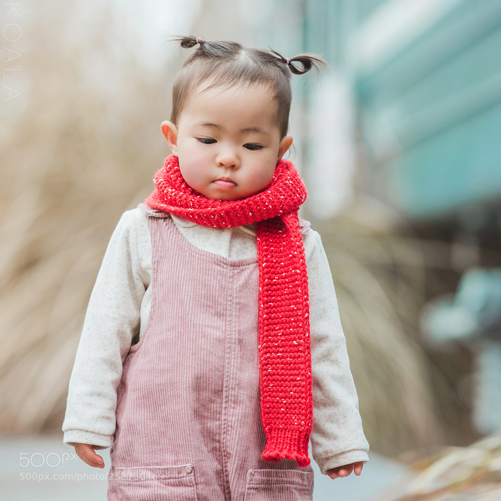 Nikon D810 sample photo. Little girl photography