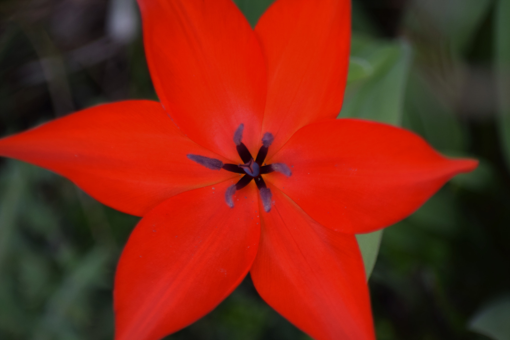 Nikon D5300 sample photo. () photography