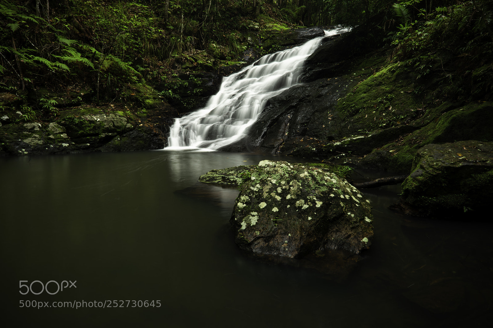 Nikon D500 sample photo. Kondilla falls photography