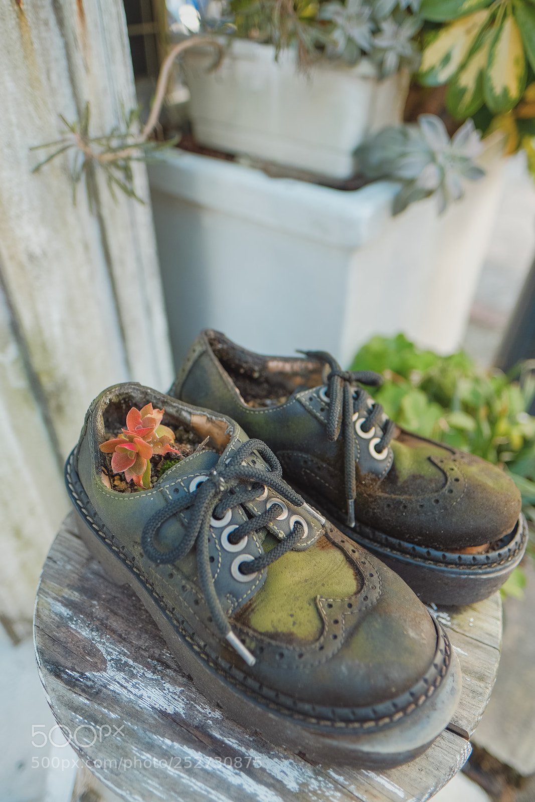 Fujifilm X-Pro2 sample photo. Untitled photography