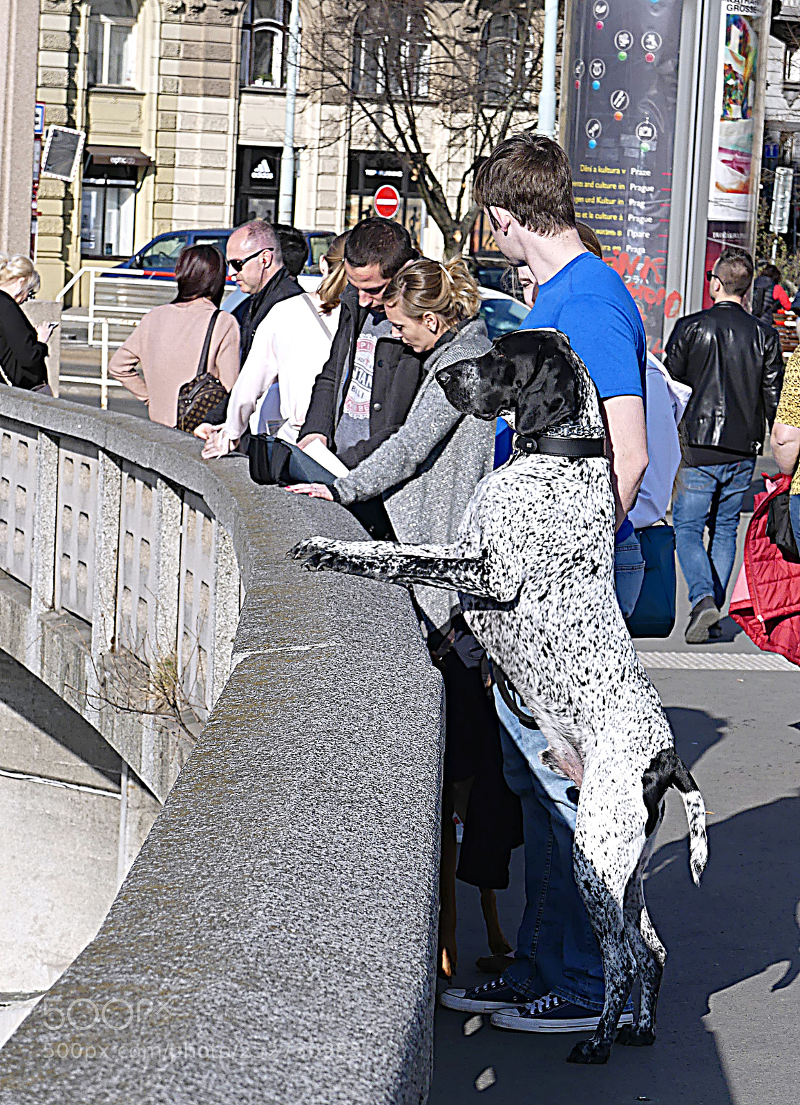 Panasonic Lumix DMC-FZ300 sample photo. Tourists watch the panorama photography