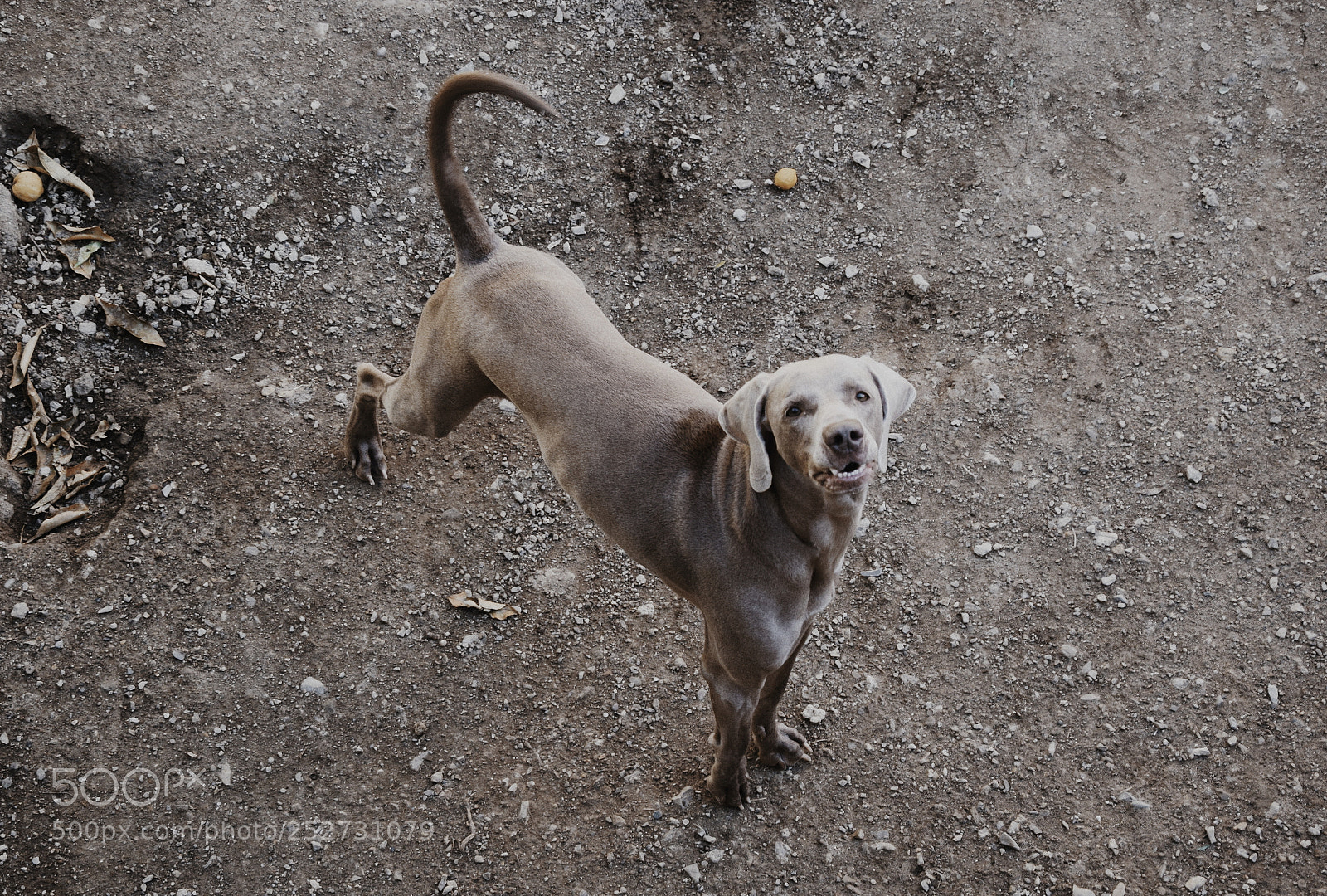 Nikon D5300 sample photo. Untitled photography