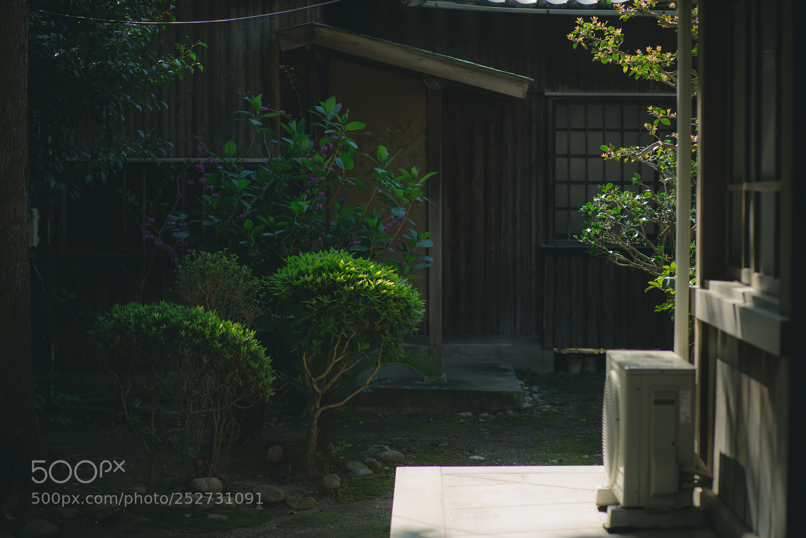 Sony a7R sample photo. Inari jinja photography