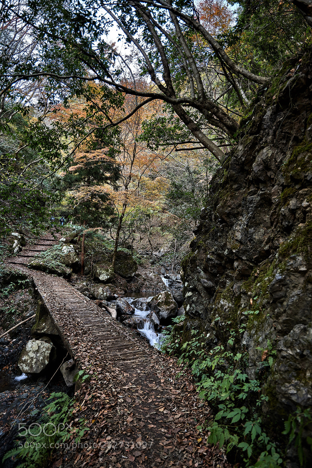 Nikon D800 sample photo. Trekking path photography