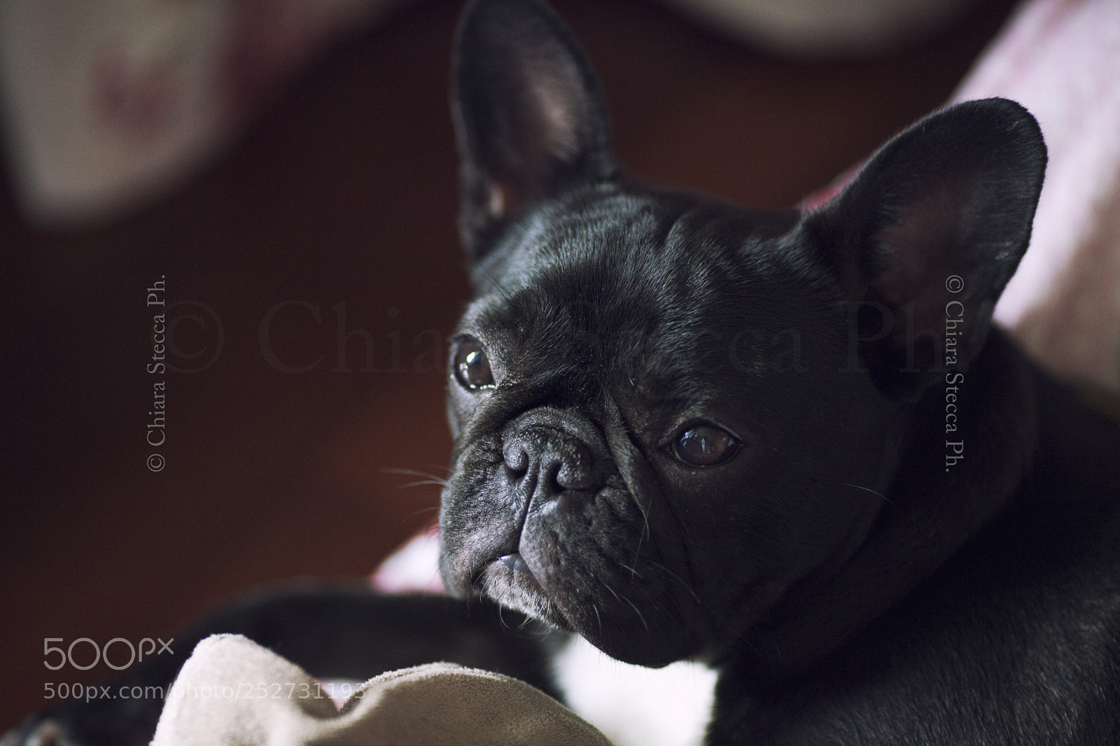 Canon EOS 5D Mark II sample photo. ♥✿♥ n i n a  ♥✿♥ photography