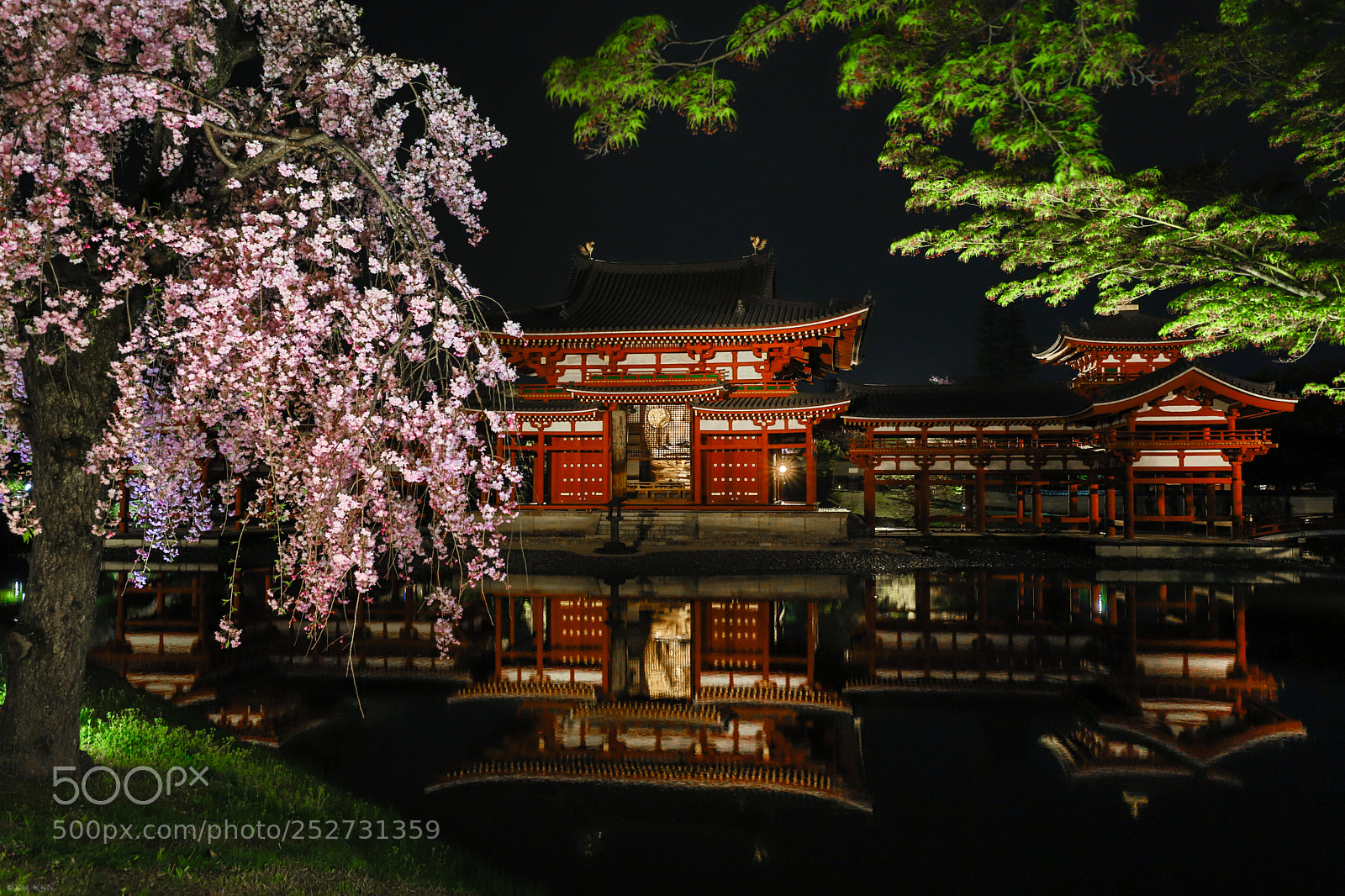 Canon EOS 6D Mark II sample photo. Byodointemple spring photography