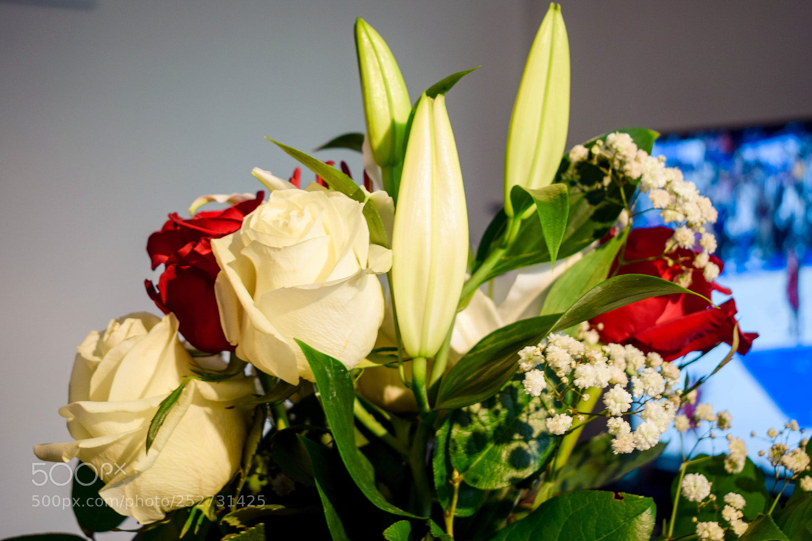 Nikon D5300 sample photo. 3 years ... flowers photography