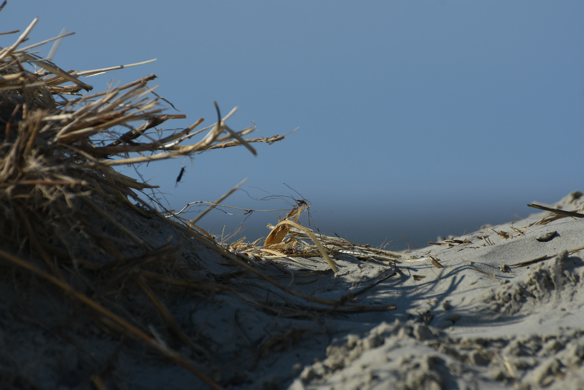 Nikon D7200 sample photo. Day at he beach ii photography
