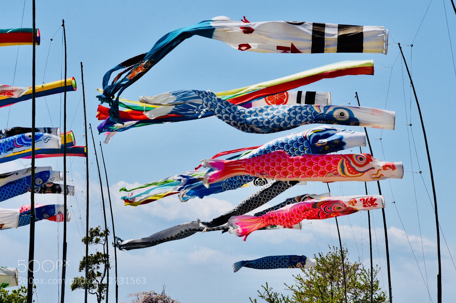 Nikon D7200 sample photo. 鯉のぼり? photography