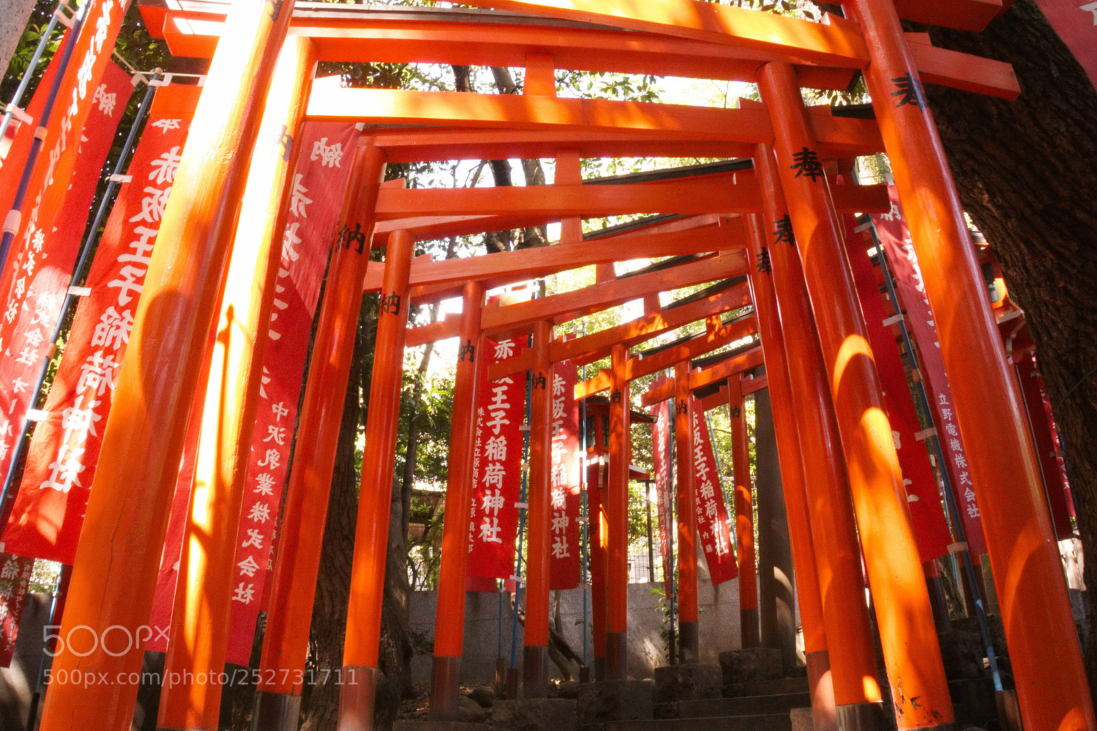 Sony a6000 sample photo. Torii gate photography