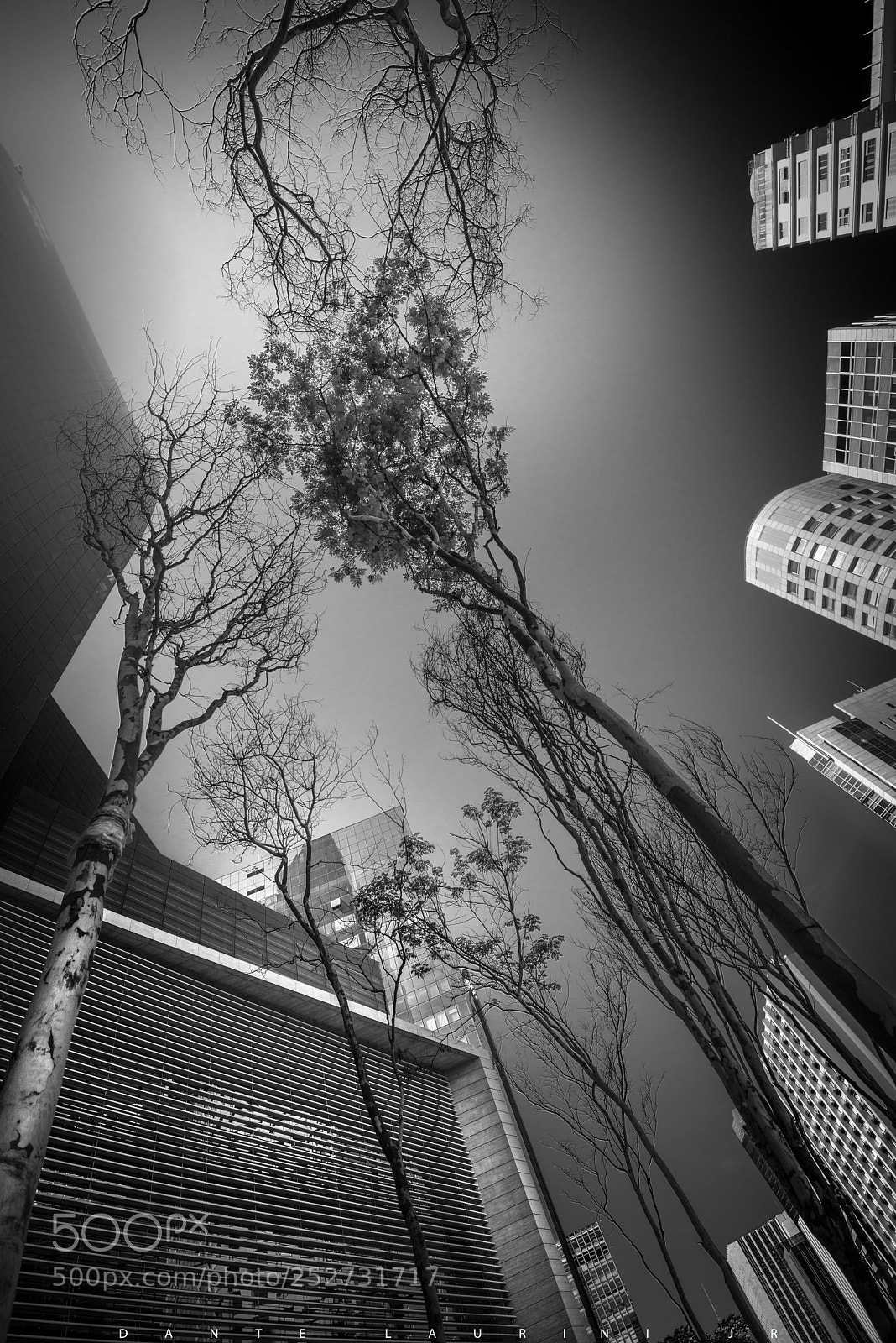 Nikon D800 sample photo. Avenida paulista - s photography