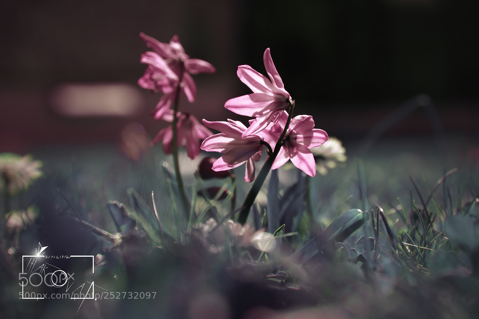 Nikon D5200 sample photo. Untitled photography