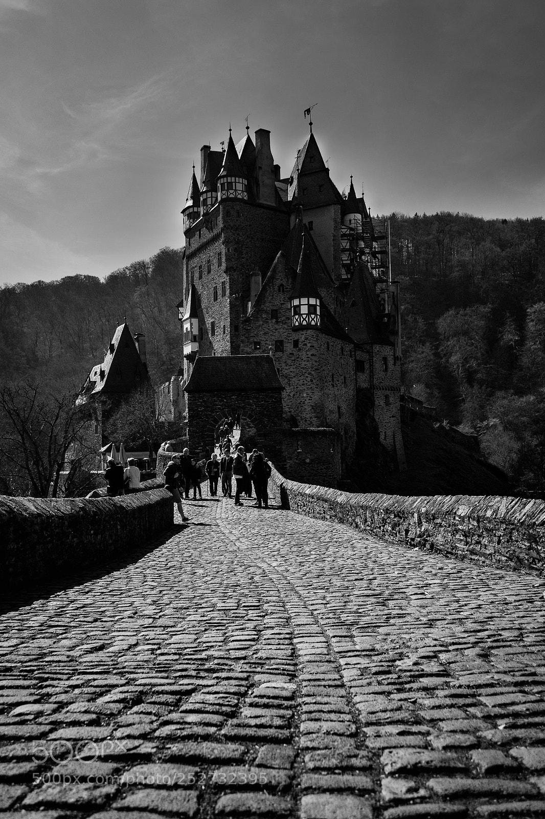 Nikon D3100 sample photo. Burg eltz photography