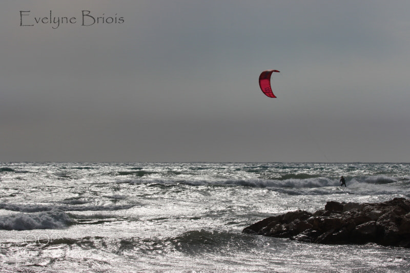 Canon EOS 7D Mark II sample photo. Rafales à palm beach photography