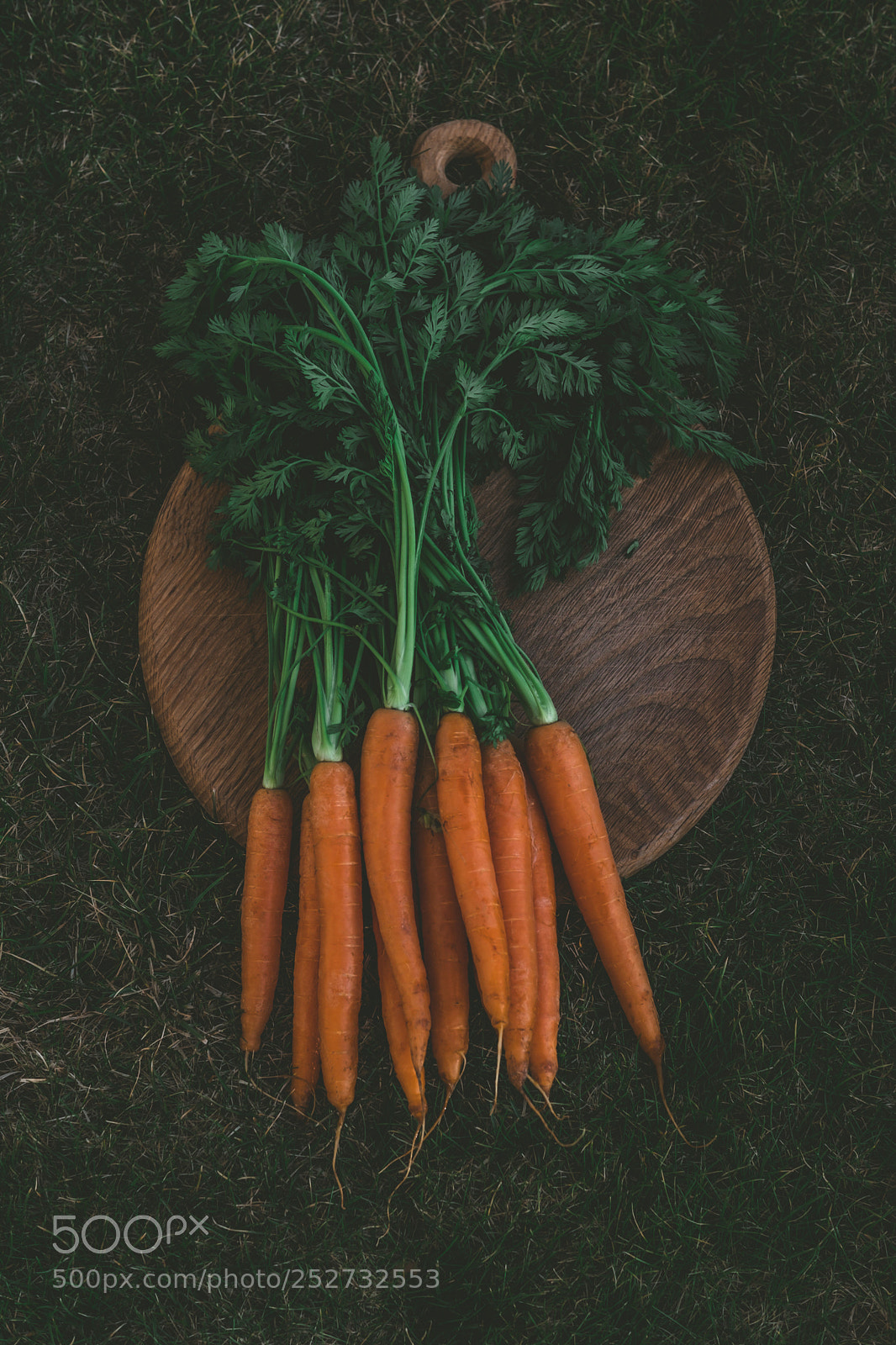 Fujifilm X-T2 sample photo. Carrots
 photography
