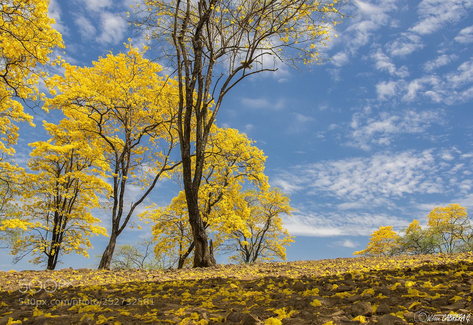 Canon EOS 7D Mark II sample photo. Loja - ecuador photography