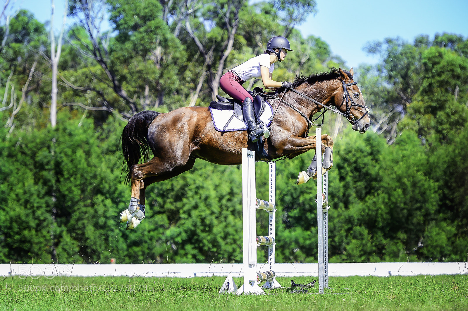 Nikon D4S sample photo. Show jumping photography