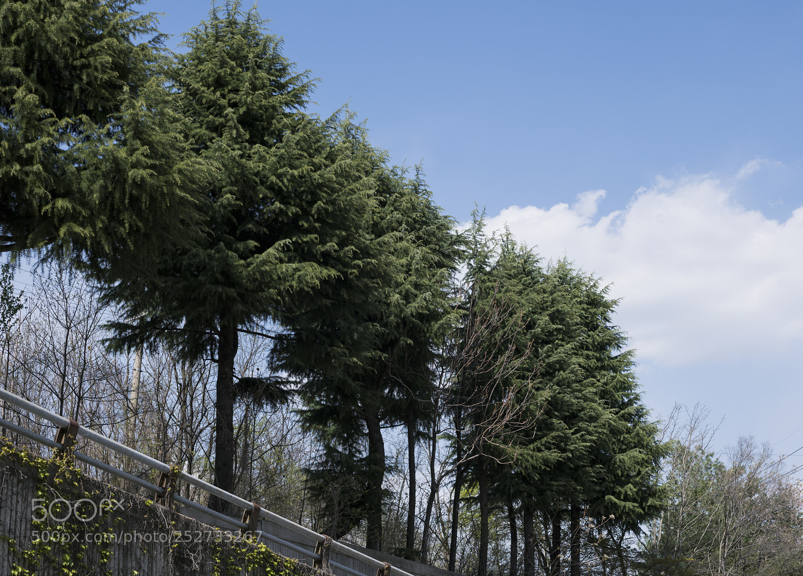 Nikon D850 sample photo. Calm photography