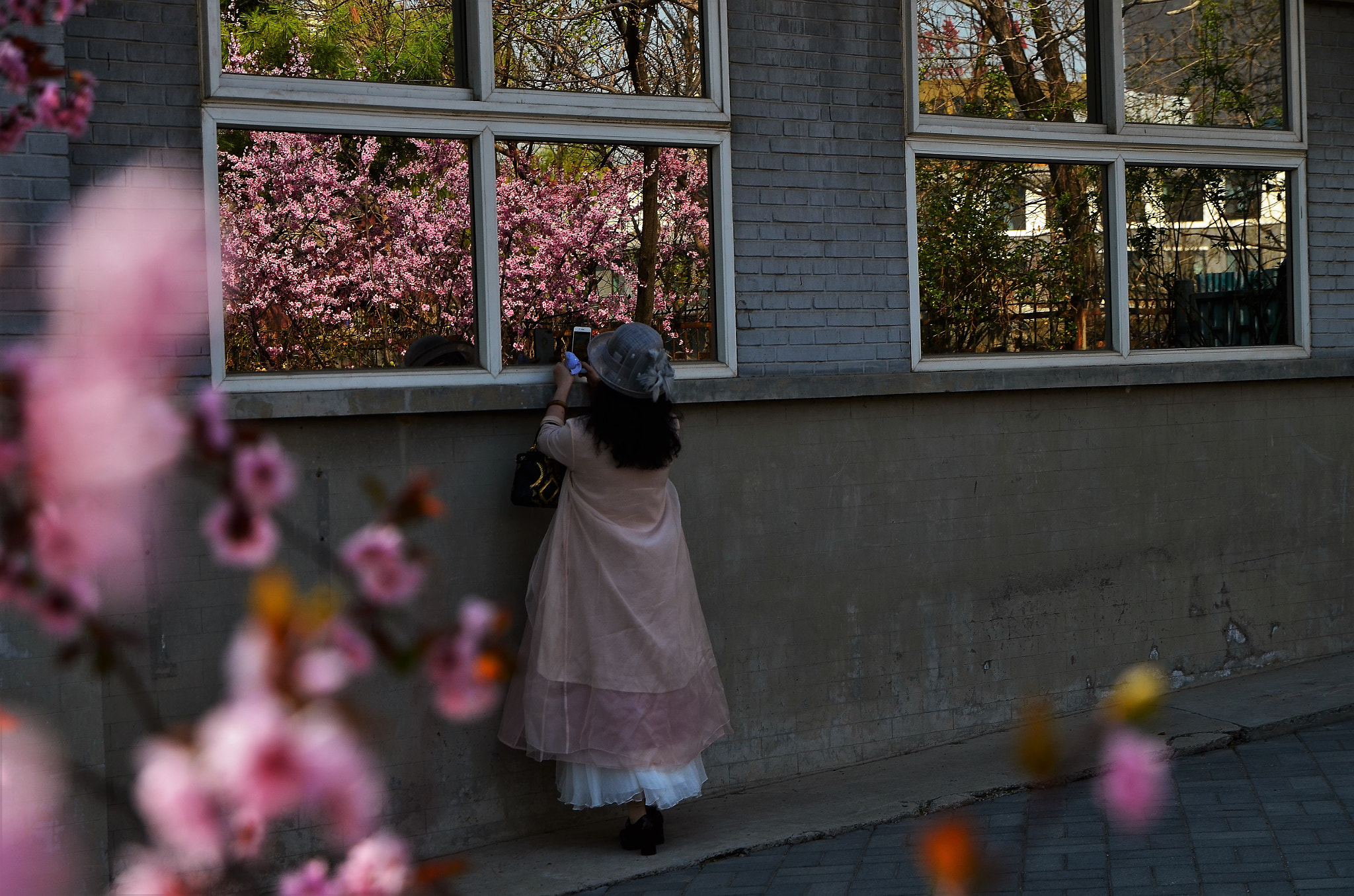 Nikon D7000 sample photo