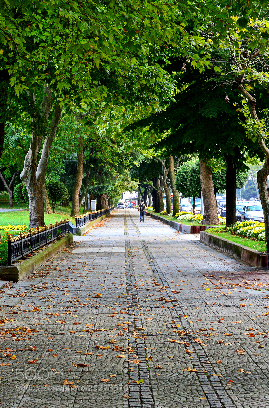 Nikon D3200 sample photo. Green road in the photography