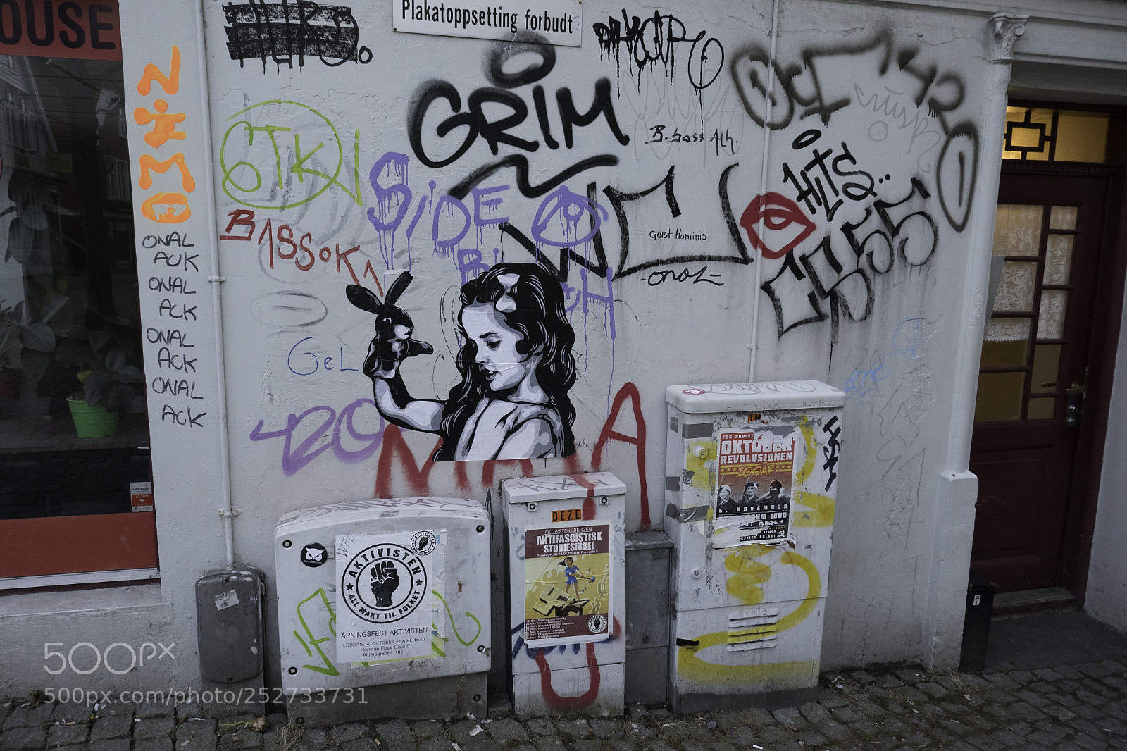 Panasonic Lumix DMC-ZS100 (Lumix DMC-TZ100) sample photo. Bergen street art photography