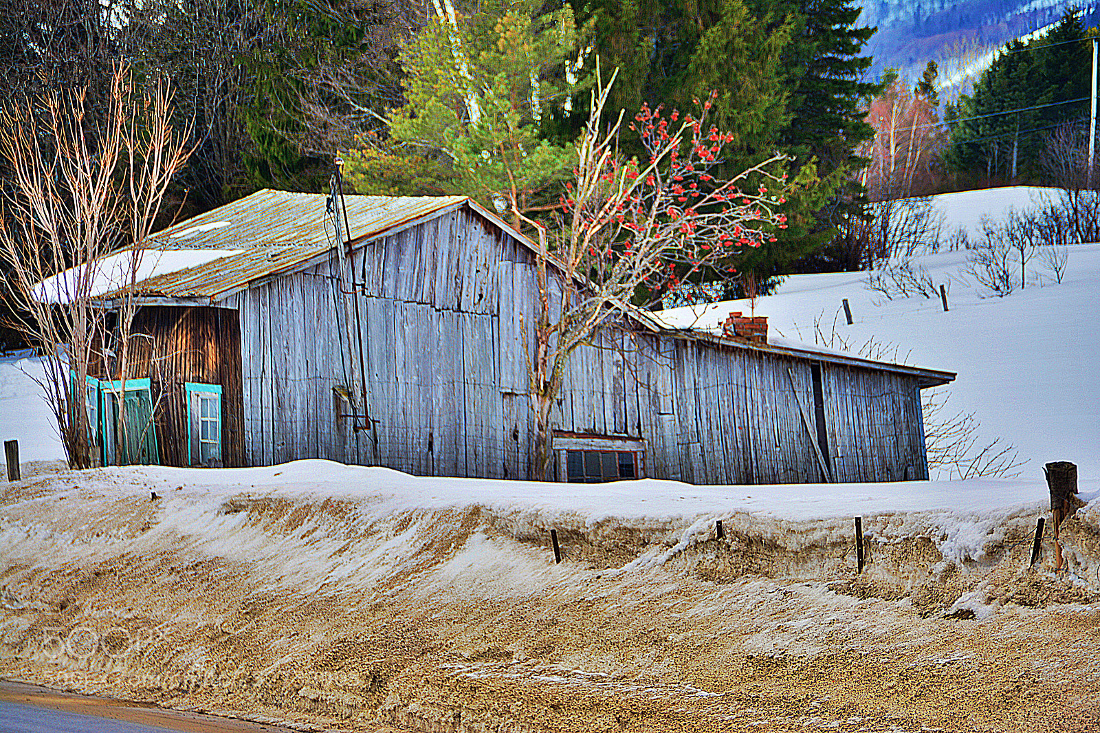 Nikon D7100 sample photo. Old style photography