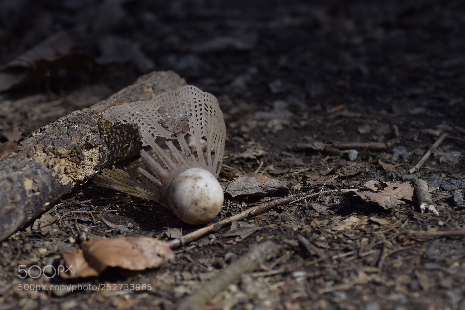 Nikon D3300 sample photo. Wasted photography