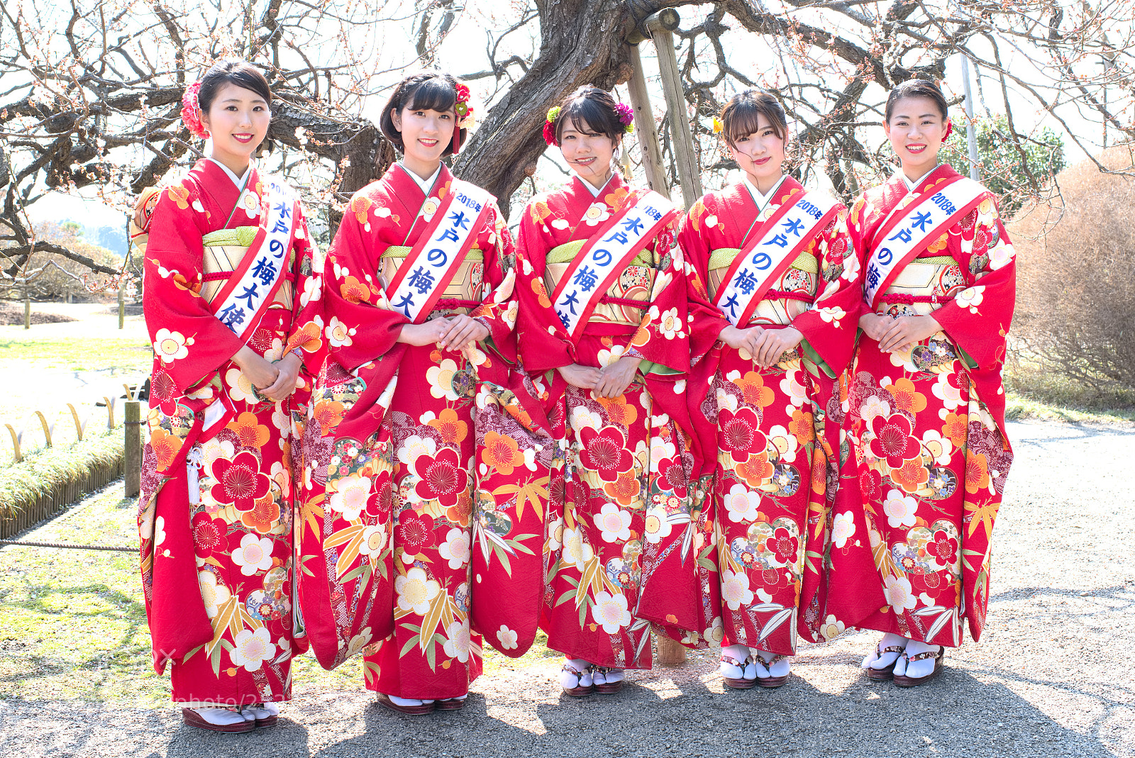 Nikon D810 sample photo. Welcome to this park... photography