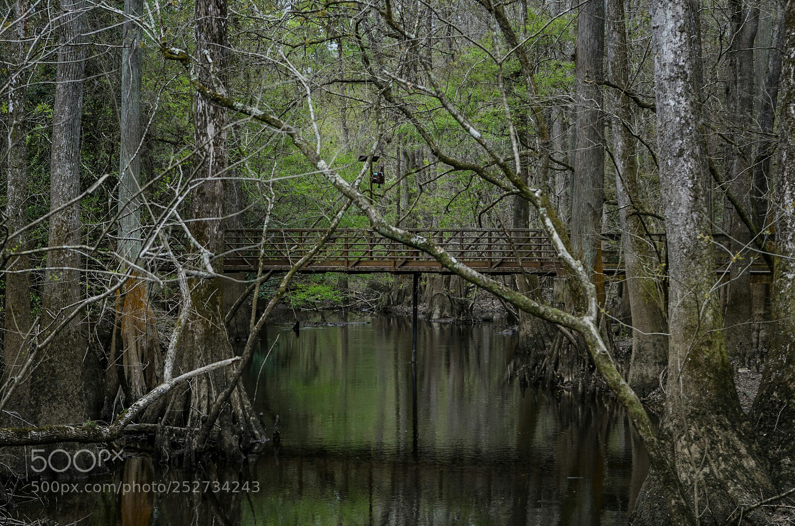 Nikon D7000 sample photo. You say that i photography