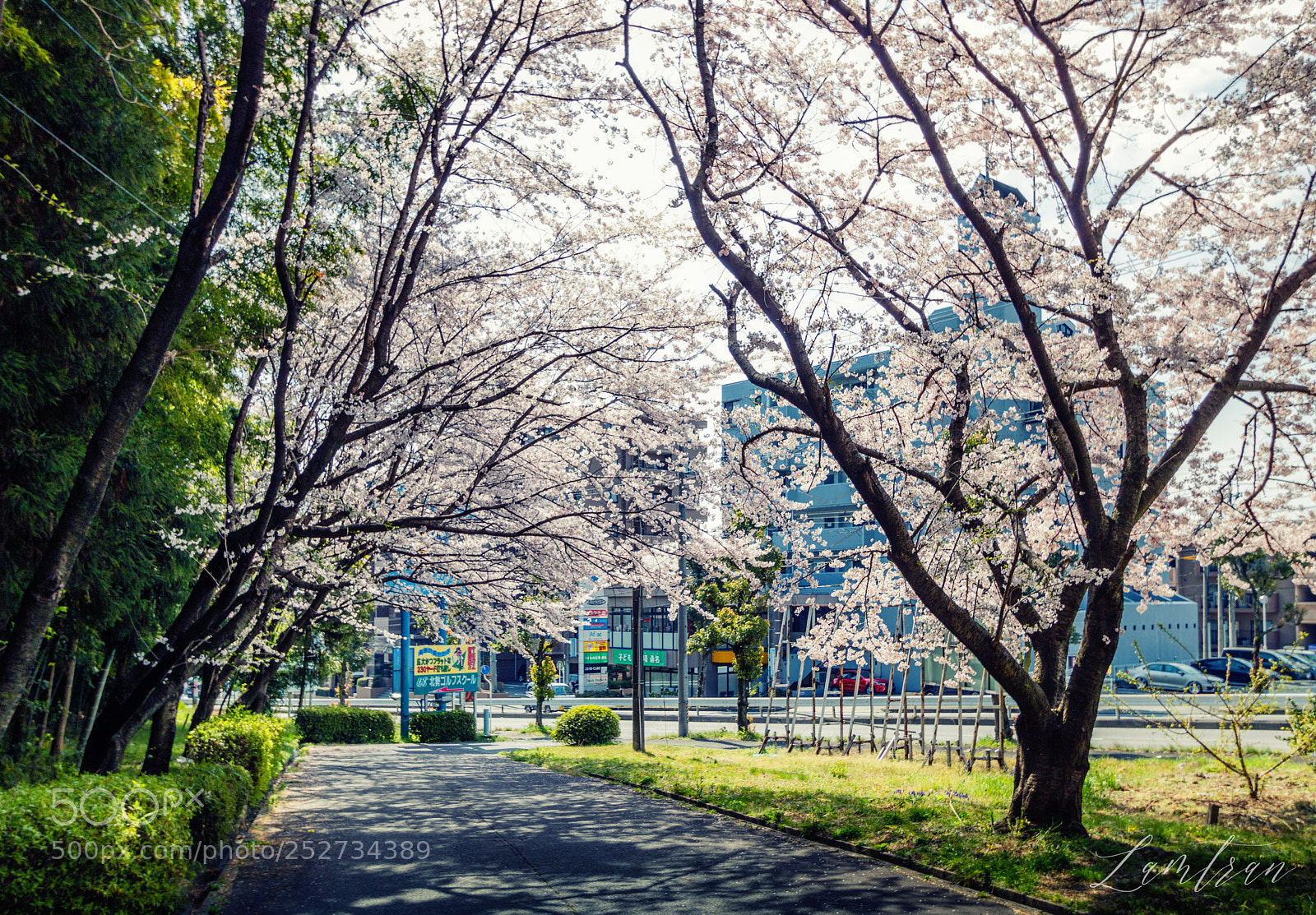 Canon EOS 750D (EOS Rebel T6i / EOS Kiss X8i) sample photo. Img photography