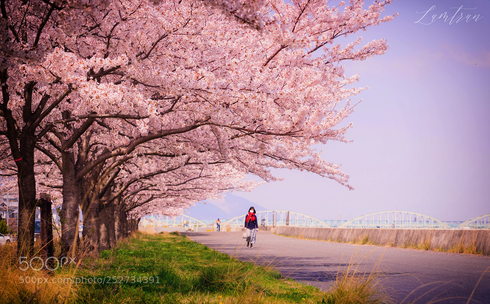 Canon EOS 750D (EOS Rebel T6i / EOS Kiss X8i) sample photo. Img photography