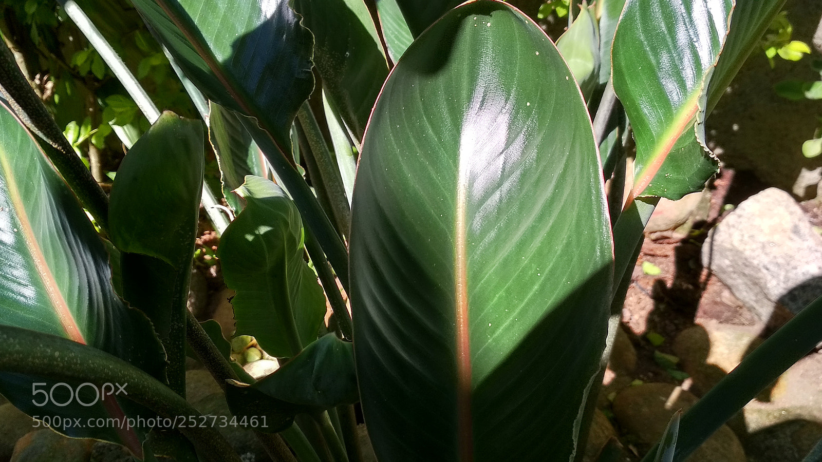 Xiaomi Redmi 4X sample photo. Untitled photography