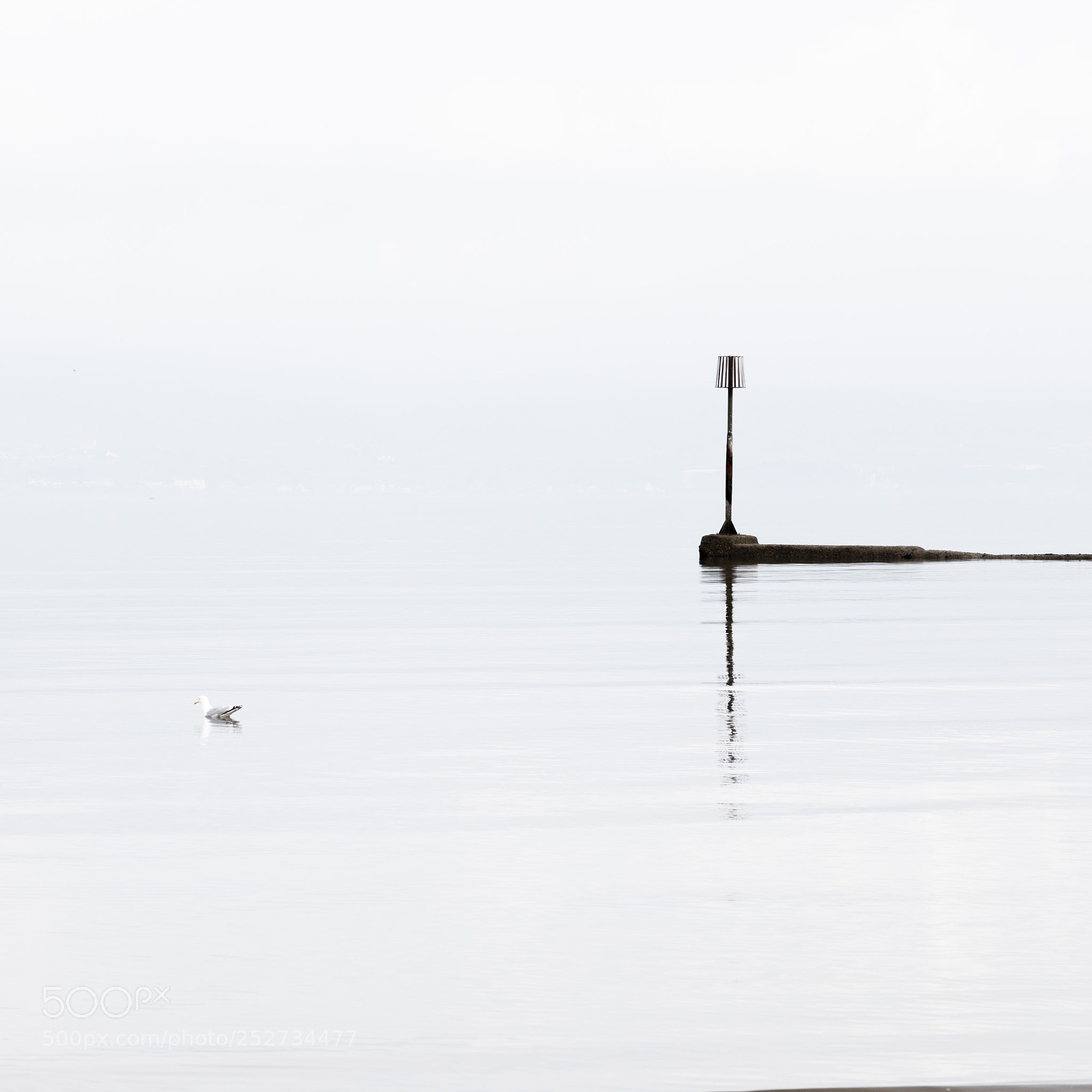 Canon EOS 5D Mark IV sample photo. _ark2558-1.jpg photography