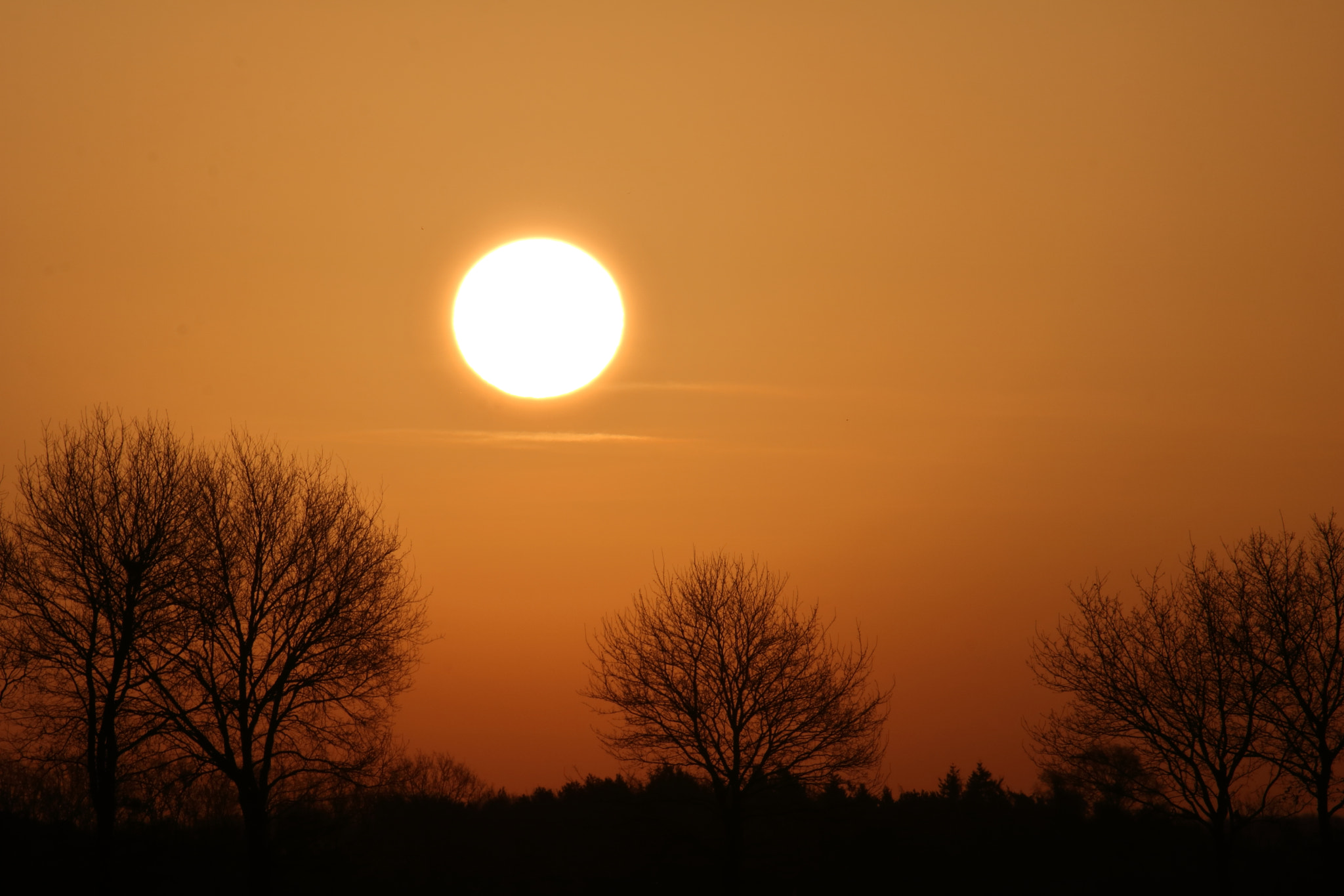 Canon EOS 750D (EOS Rebel T6i / EOS Kiss X8i) sample photo. Early morning. photography