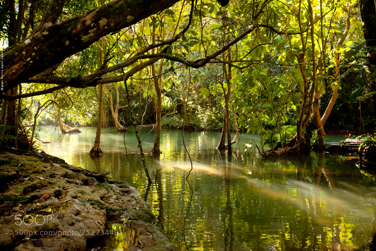 Canon EOS 5D Mark II sample photo. Rs photography