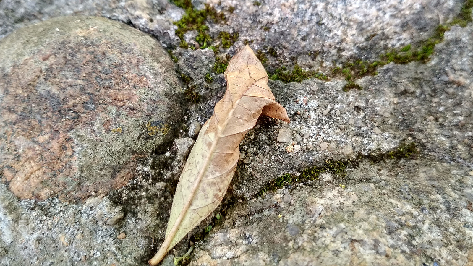 Xiaomi Redmi 4X sample photo. Untitled photography